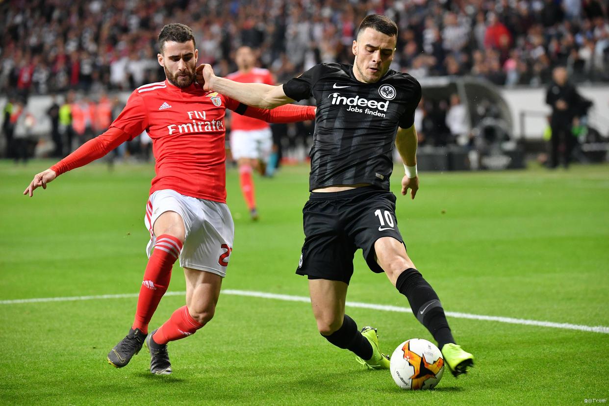 包含法兰克福火力全开，夺冠在望的词条