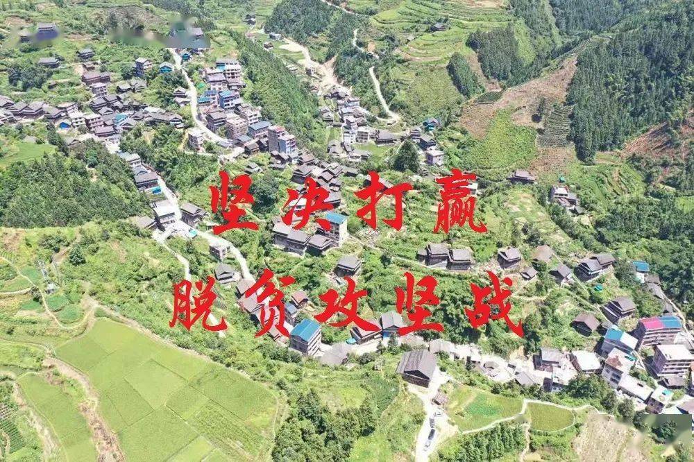 骑马队全队备战下场比赛,决心取得全面胜利的简单介绍 骑马队全队备战下场比赛,决心取得全面胜利的简单介绍