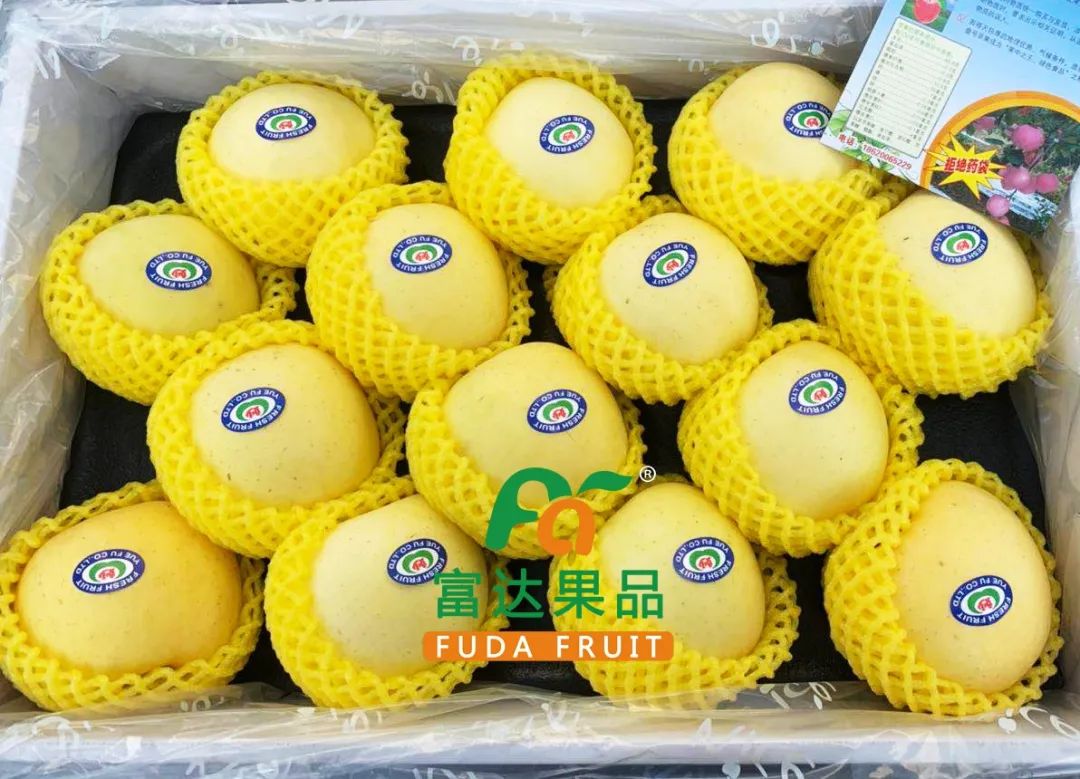 包含掀起运动风潮，榴莲般甜蜜胜利令人沉醉的词条