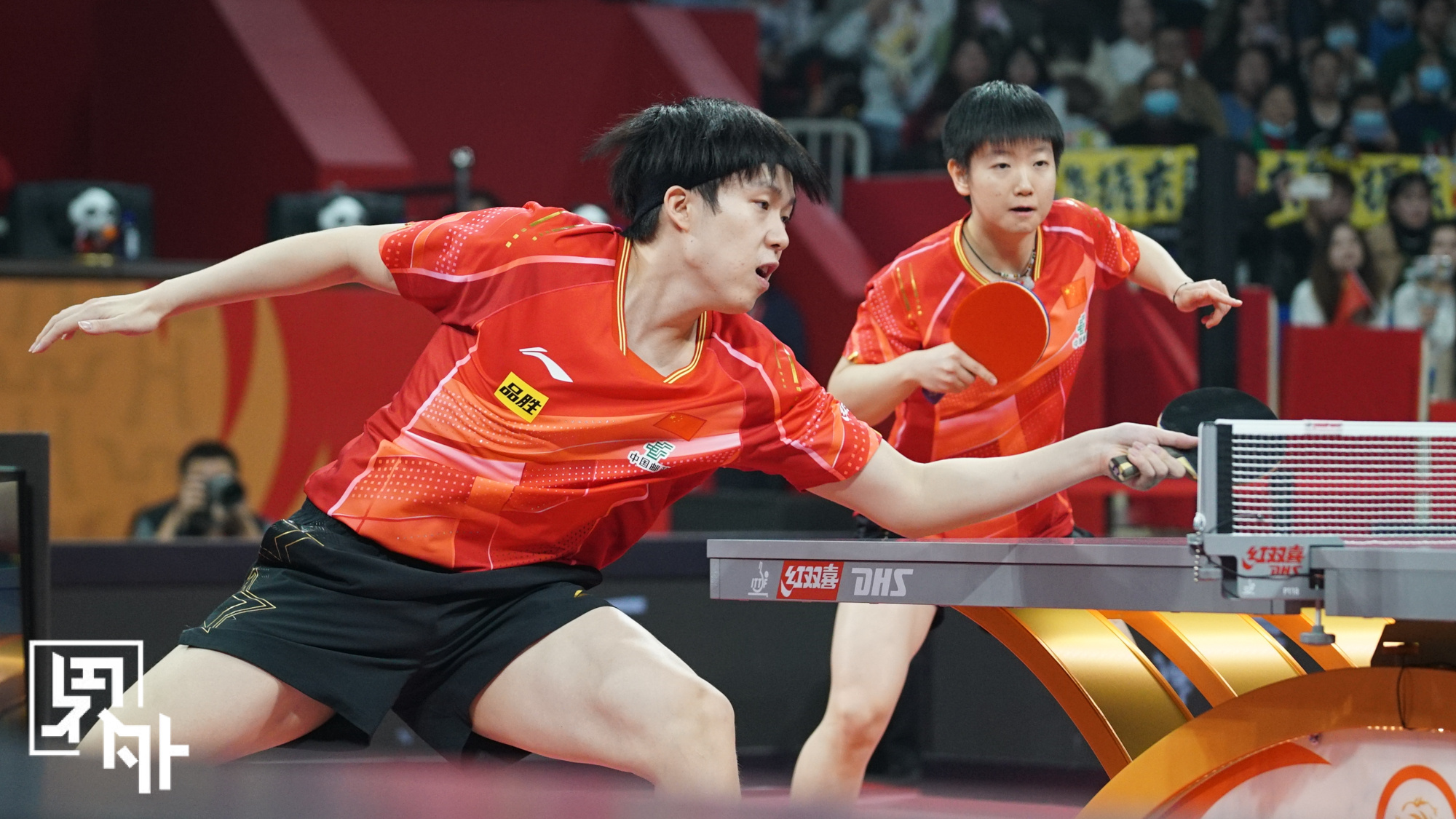 比利时乒乓球队完胜德国乒乓球队，王皓三分雨点燃全场的简单介绍