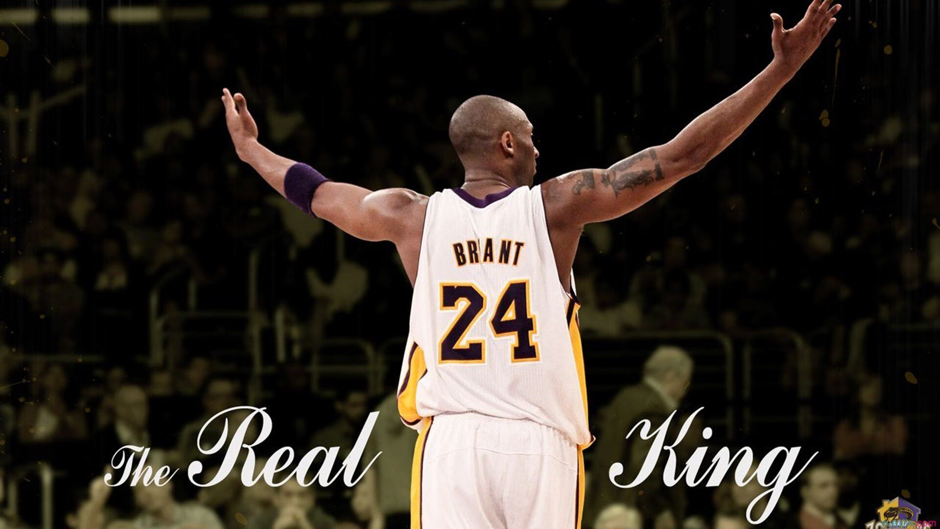 尼克斯对阵北京队,小贾伦展现巨星价值